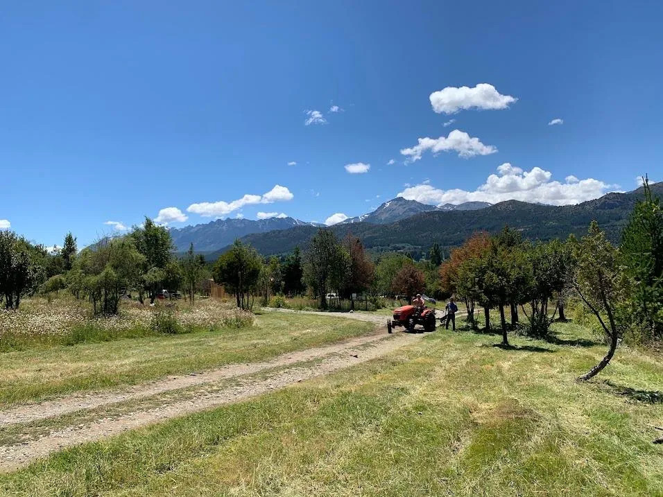 Trabajos en Aldealia, tractor con vista a los cerros