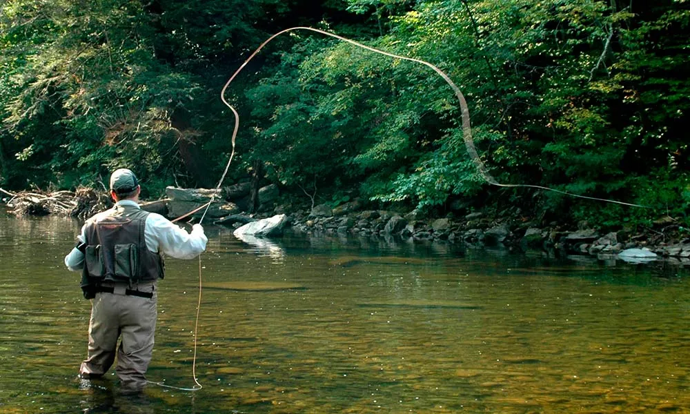 Pesca con mosca