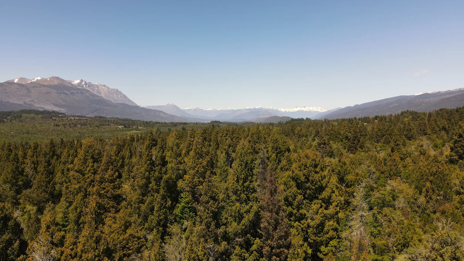 Rincón del Bosque