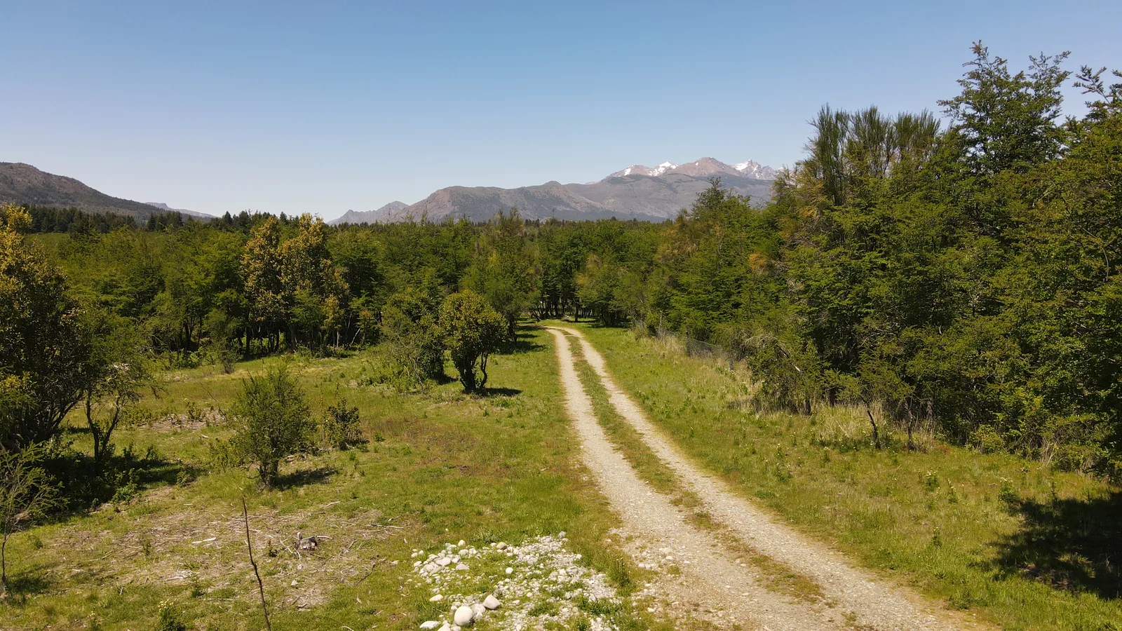 Vista aérea de un camino en Aldealia, entre bosque y montañas
