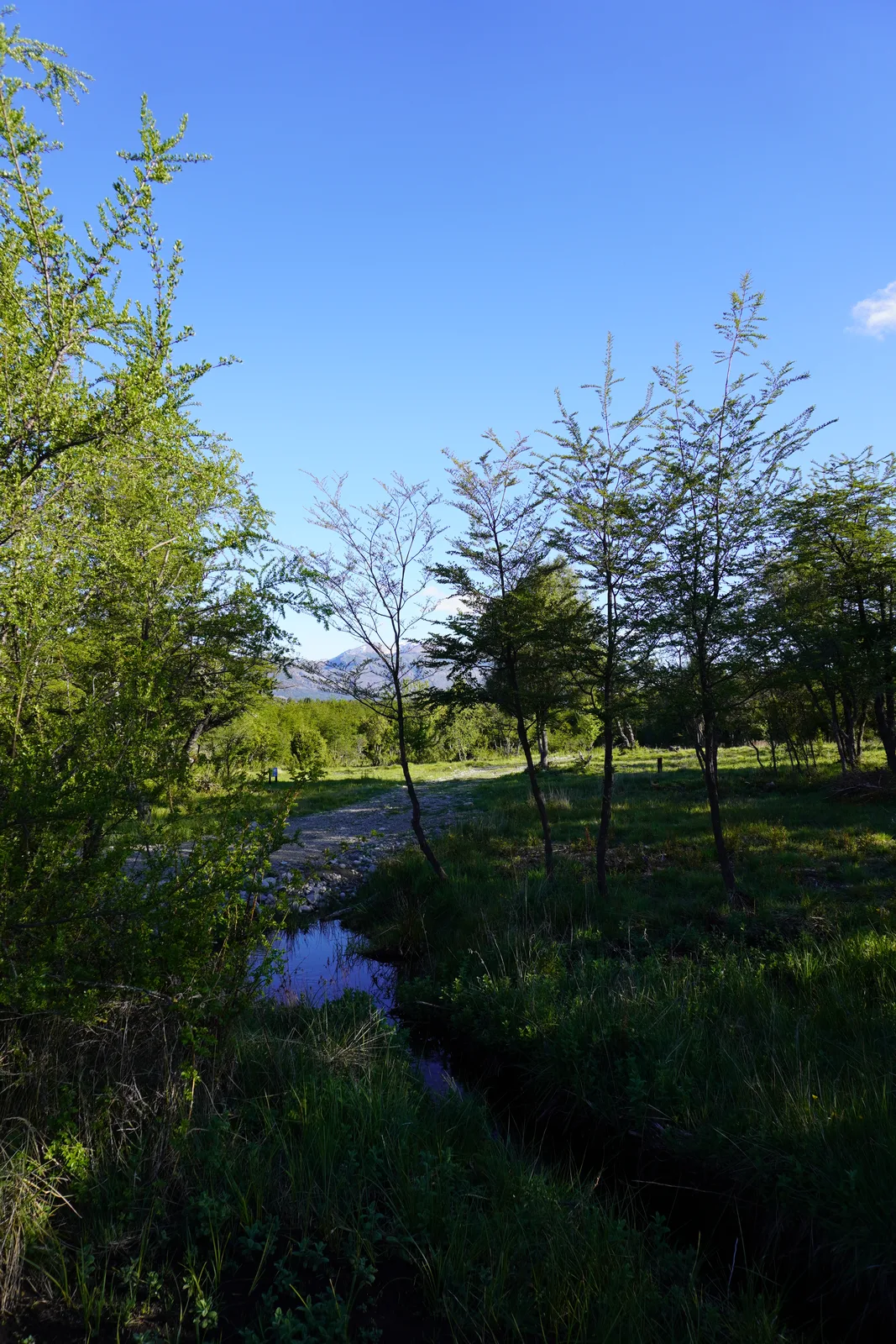 Arroyo en Rincón de Chakras
